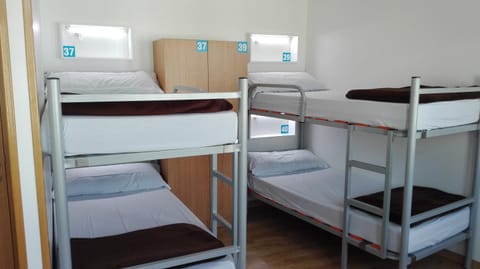 bunk bed