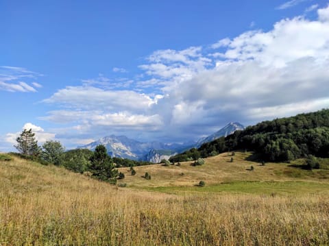 Apartmani Košuta Apartment in Montenegro