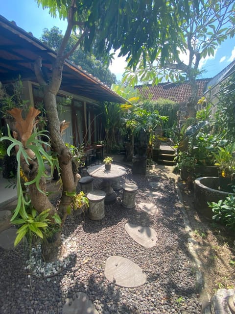 Patio, Day, Garden, Garden view