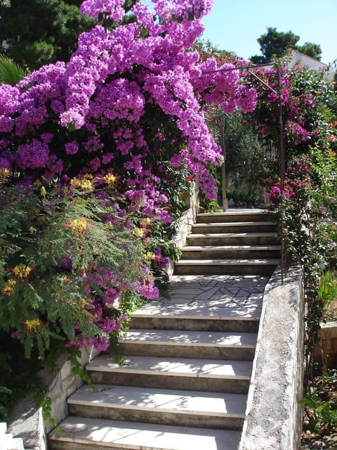 Ancila Apartment in Dubrovnik-Neretva County
