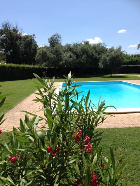 Pool view, Swimming pool