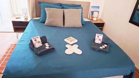 **** VERY CENTRAL Ajaccio 36 rue Fesch, cosy flat in city center pedestrian street, up to 4 people **** Apartment in Ajaccio