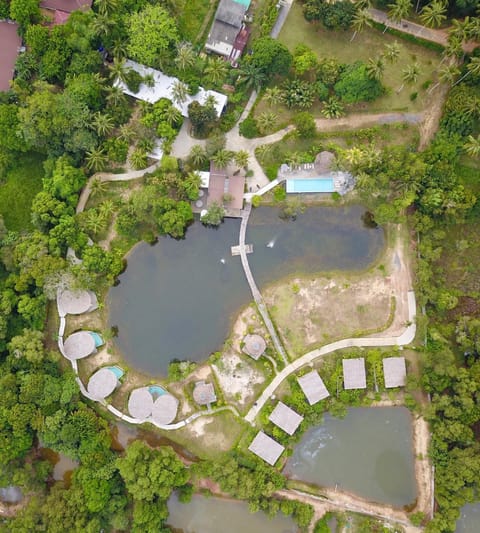 Natural landscape, Bird's eye view, Lake view, Pool view, Swimming pool