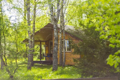 Property building, Spring, Day, Natural landscape, Garden, Garden view