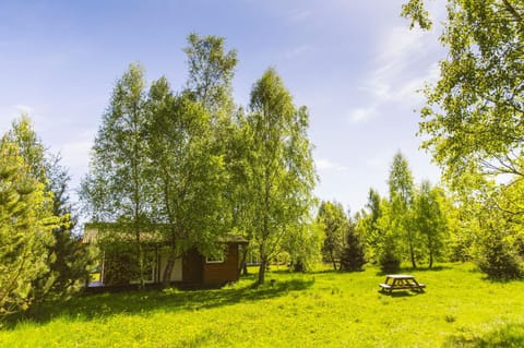 Property building, Spring, Day, Garden, Garden view