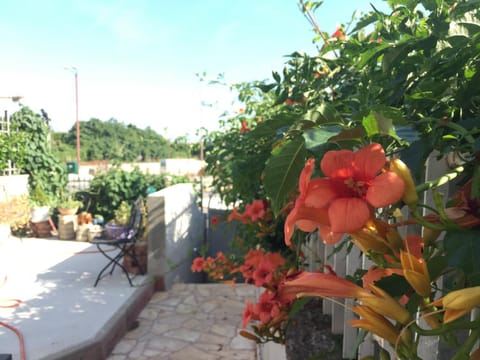 Apartment Poetry Apartment in Split