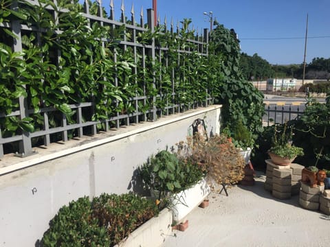 Inner courtyard view
