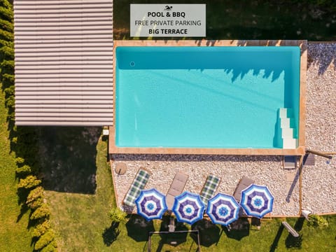 Day, Pool view, Swimming pool, sunbed