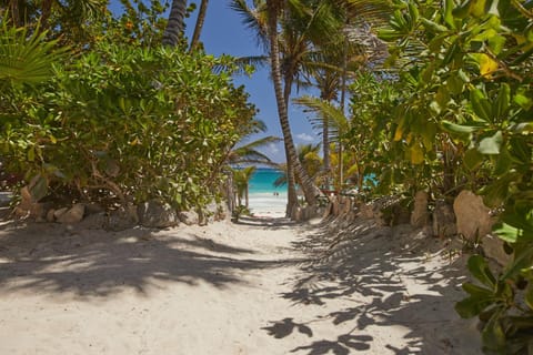Sea view