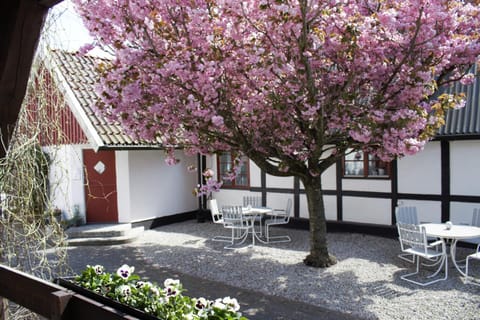 Inner courtyard view