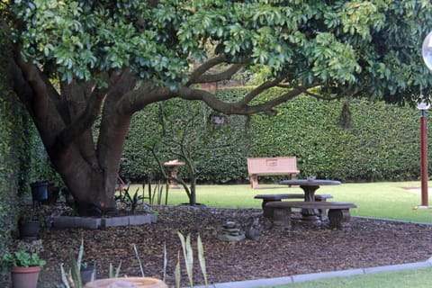 Haven on Hoopoe Bed and Breakfast in Eastern Cape