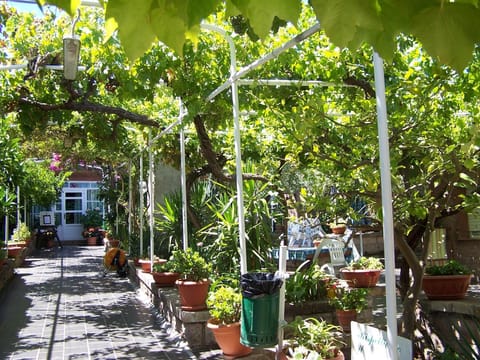 Facade/entrance, Day, Garden view