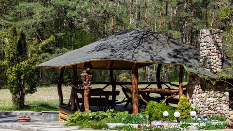 Apartamentai Laima Apartment in Lithuania