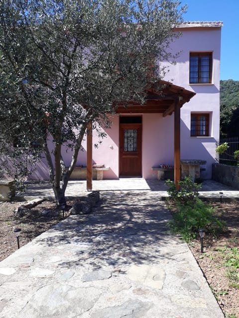 Facade/entrance, Garden