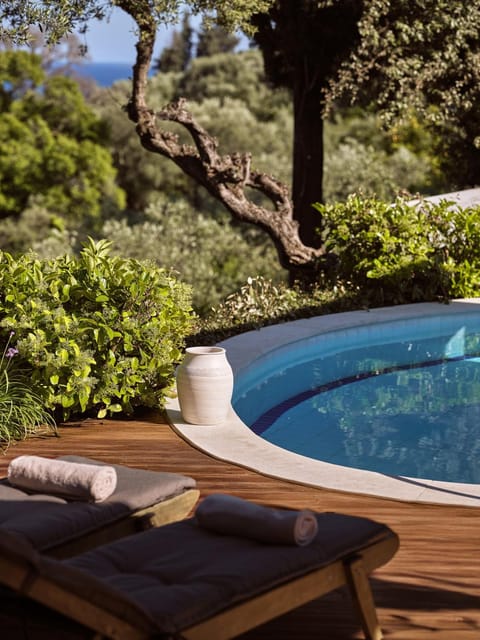 Day, Natural landscape, Garden, Garden view, Pool view, Swimming pool