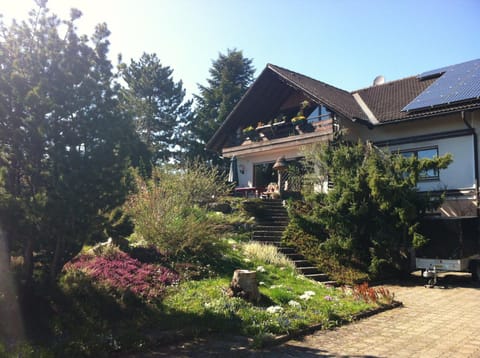 Property building, Spring, Garden, Garden view