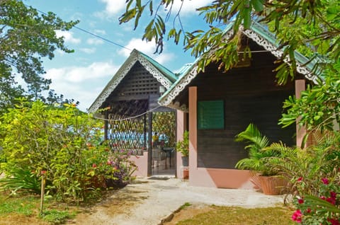 Toilet, Property building, Day, Garden view