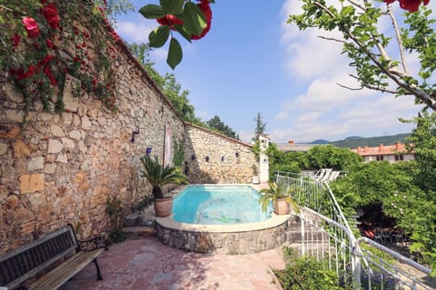 Garden, Swimming pool