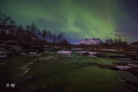 Nearby landmark, Neighbourhood, Other