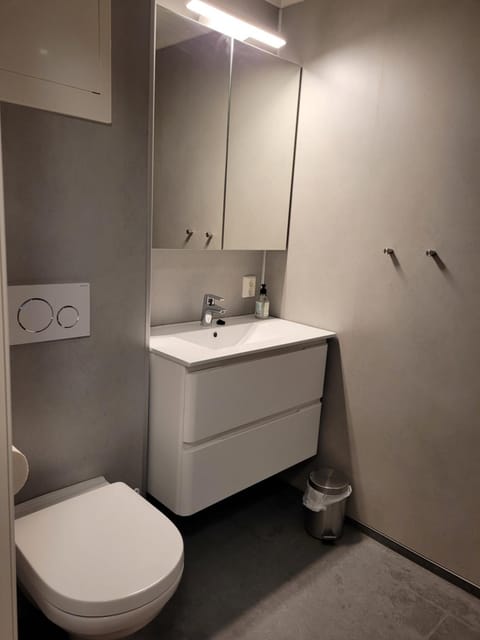 Lapphaugen Turiststasjon Nature lodge in Nordland, Norway