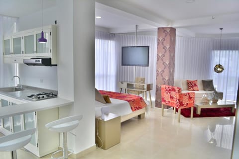 TV and multimedia, Kitchen or kitchenette, Living room, Photo of the whole room, Seating area, Dining area