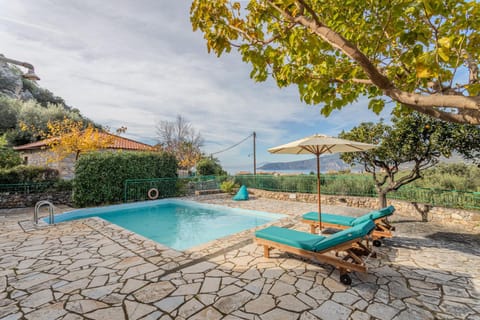Patio, Spring, Day, Natural landscape, Garden, Garden view, Pool view, Swimming pool, sunbed