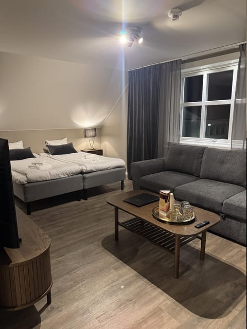 Bed, Living room, Photo of the whole room, Seating area, Bedroom