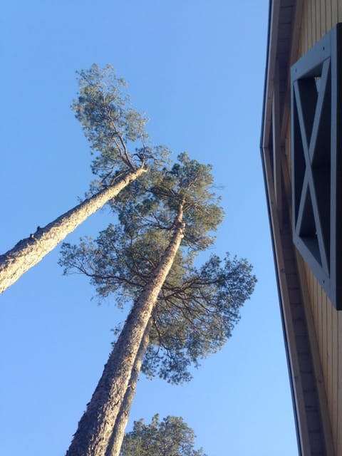 Natural landscape, Garden