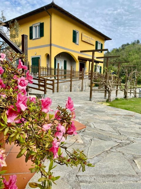 Property building, Spring, Garden view