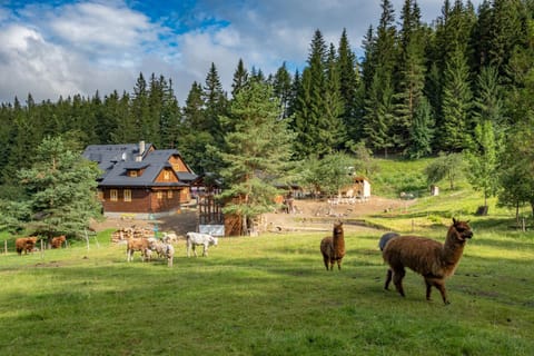Garden, Animals