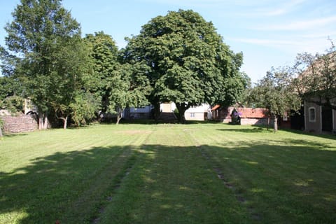 Day, Garden