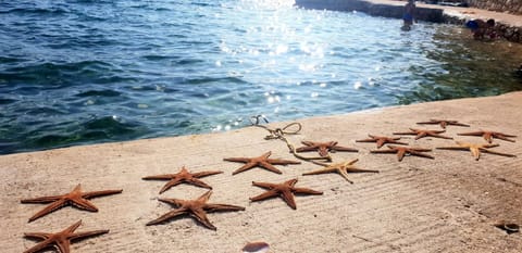 Apartman Jopa Apartment in Zadar County