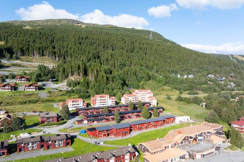 Property building, Summer