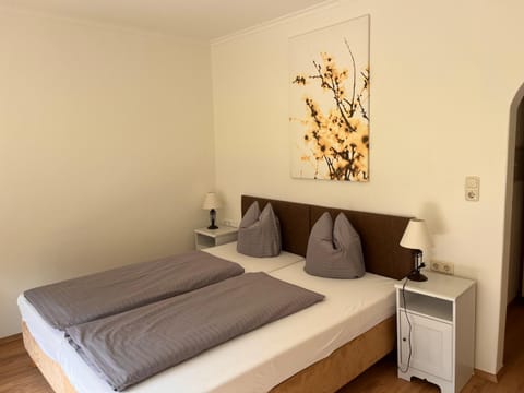 Haus Romanelli Apartment in Mayrhofen