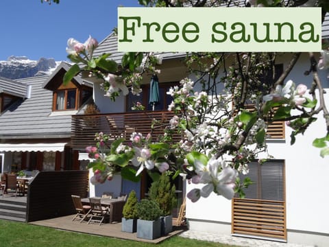 Apartments Supermjau Apartment in Bovec