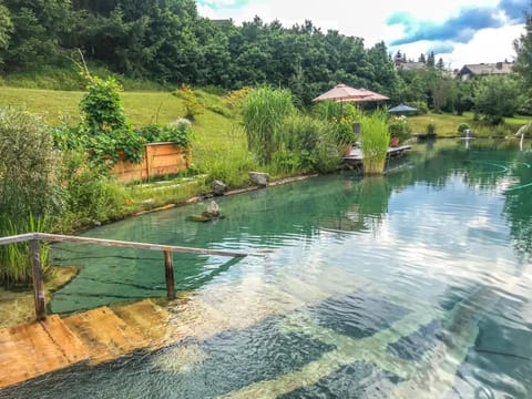 Garden, Garden view, Swimming pool