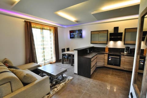 TV and multimedia, Kitchen or kitchenette, Living room, Photo of the whole room, Seating area, Dining area