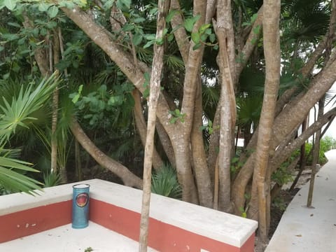 Neighbourhood, Natural landscape, Area and facilities