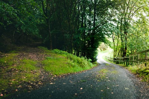 Facade/entrance, Natural landscape