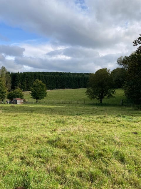 B&B Haus Jola Bed and Breakfast in Wallonia, Belgium