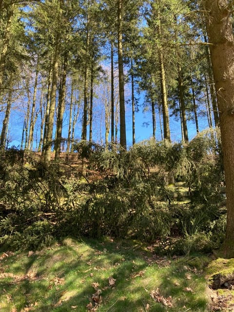 B&B Haus Jola Bed and Breakfast in Wallonia, Belgium