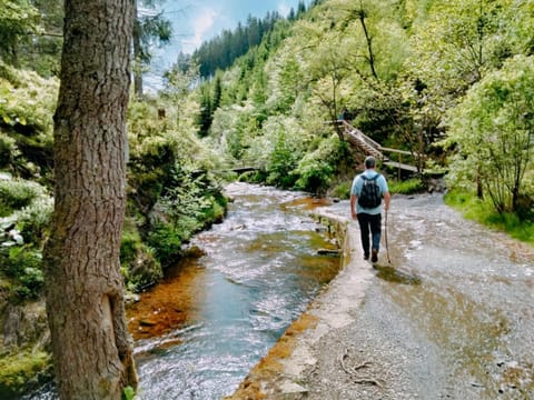 B&B Haus Jola Bed and Breakfast in Wallonia, Belgium