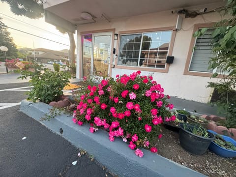 Morgan Hill Inn Hotel in Morgan Hill