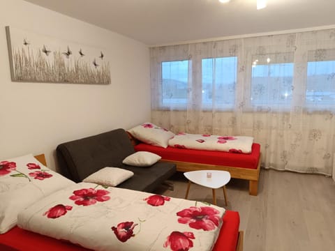 Apartment Lahr 50 Apartment in Lahr