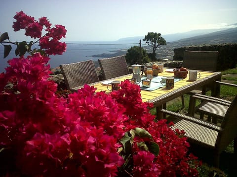 Day, Balcony/Terrace