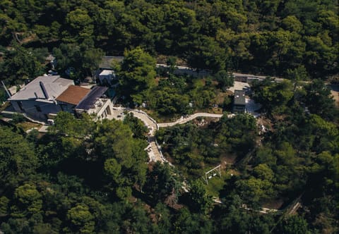 Property building, Natural landscape, Bird's eye view, Garden