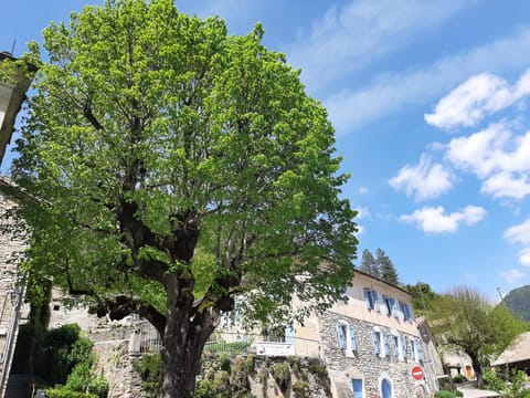 Facade/entrance, Spring