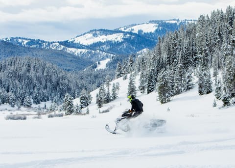 Day, Natural landscape, Winter, Mountain view, group of guests