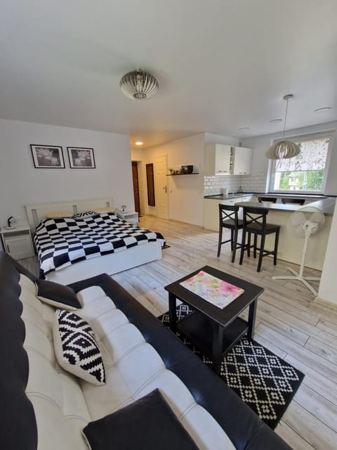 Lima Studio Apartment in Lithuania