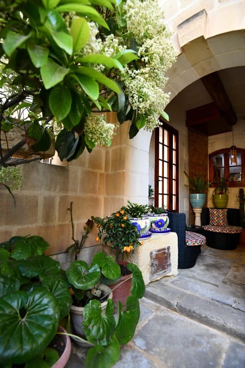 Balcony/Terrace, Other